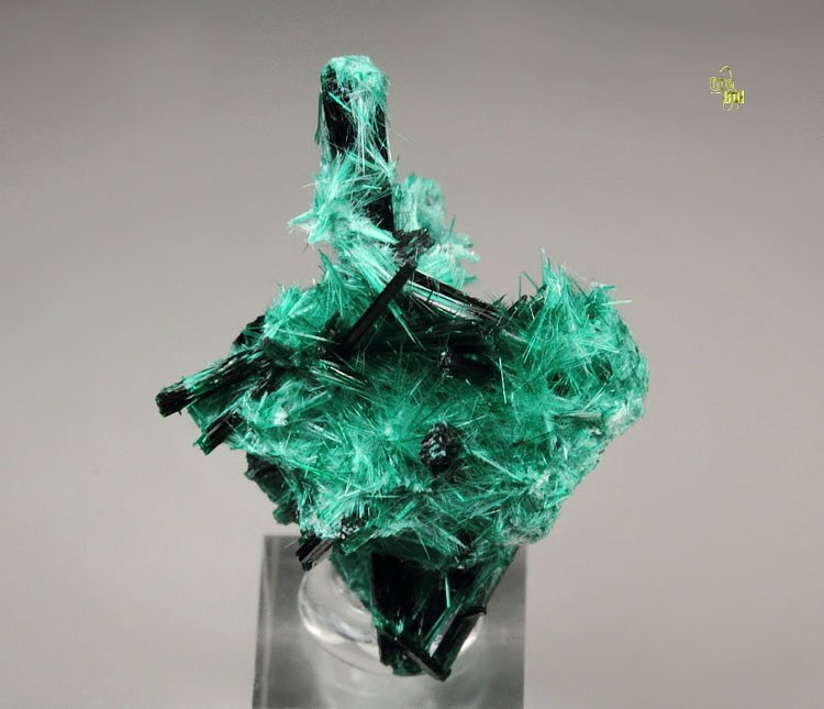 BROCHANTITE