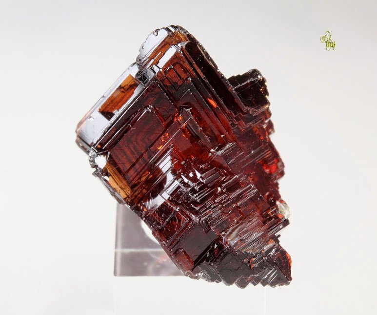 gem GARNET var. SPESSARTINE skeletal 