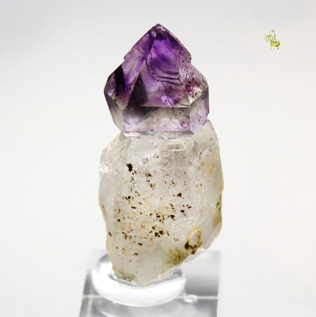 scepter QUARTZ var. AMETHYST