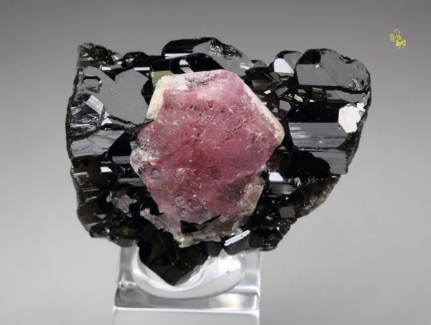 PEZZOTTAITE, TOURMALINE var. ELBAITE