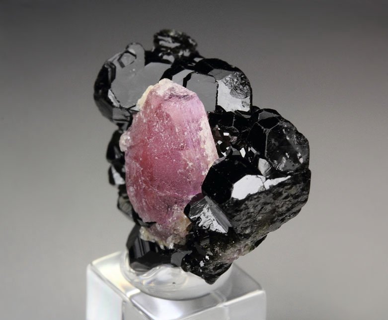 PEZZOTTAITE, TOURMALINE var. ELBAITE