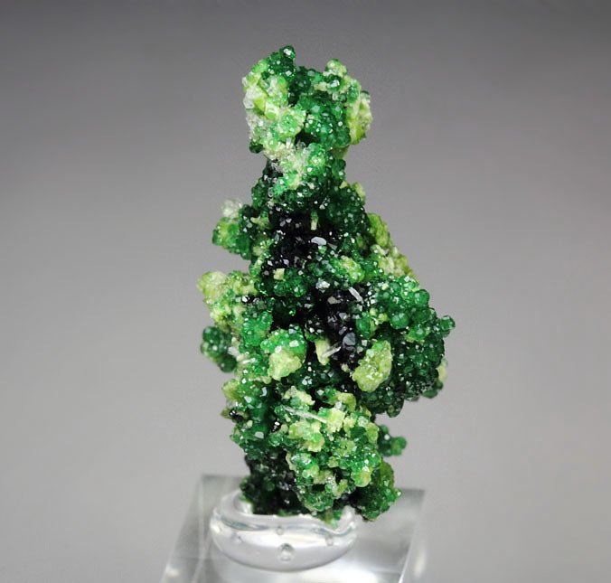 GARNET var. GROSSULAR var. CHROMIAN, DIOPSIDE, CHROMITE