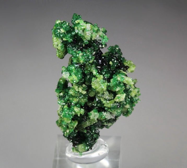 GARNET var. GROSSULAR var. CHROMIAN, DIOPSIDE, CHROMITE