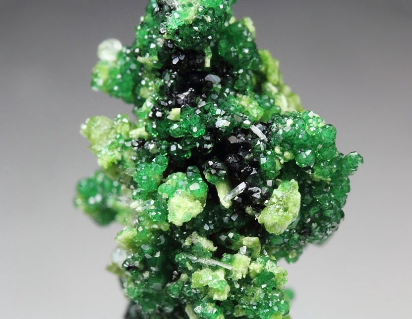 GARNET var. GROSSULAR var. CHROMIAN, DIOPSIDE, CHROMITE