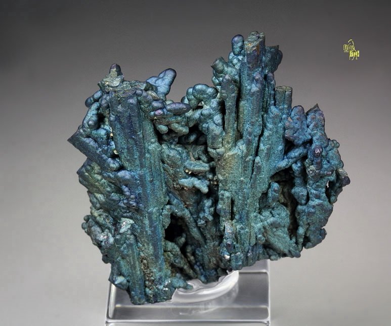 CHALCOCITE, DJURLEITE, iridescent CHALCOPYRITE