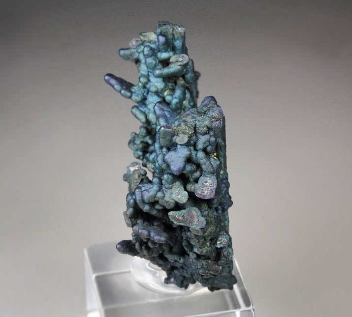 CHALCOCITE, DJURLEITE, iridescent CHALCOPYRITE