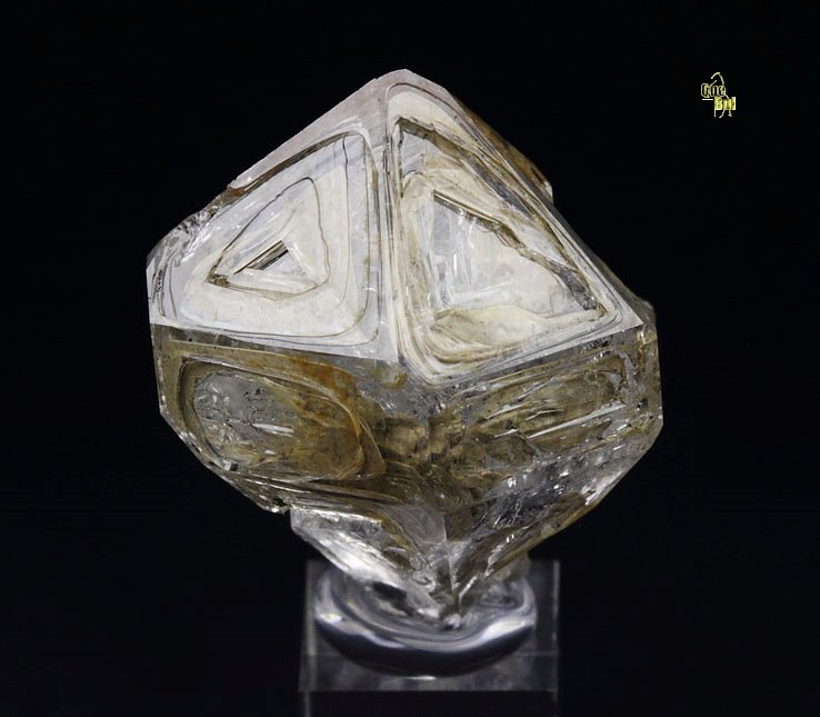 skeletal QUARTZ