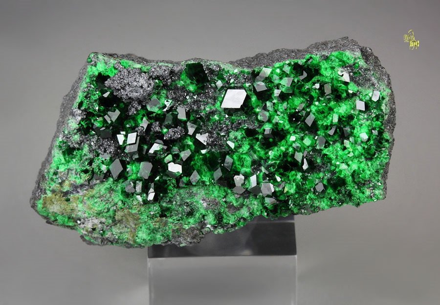 GARNET var. UVAROVITE, CLINOCHLORE