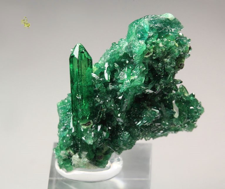 gem VESUVIANITE var. CHROMIAN