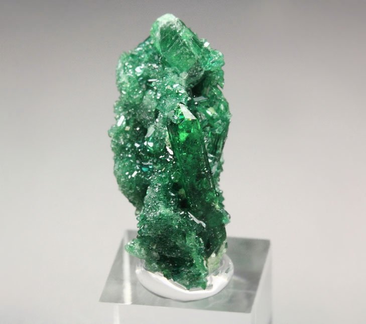 gem VESUVIANITE var. CHROMIAN