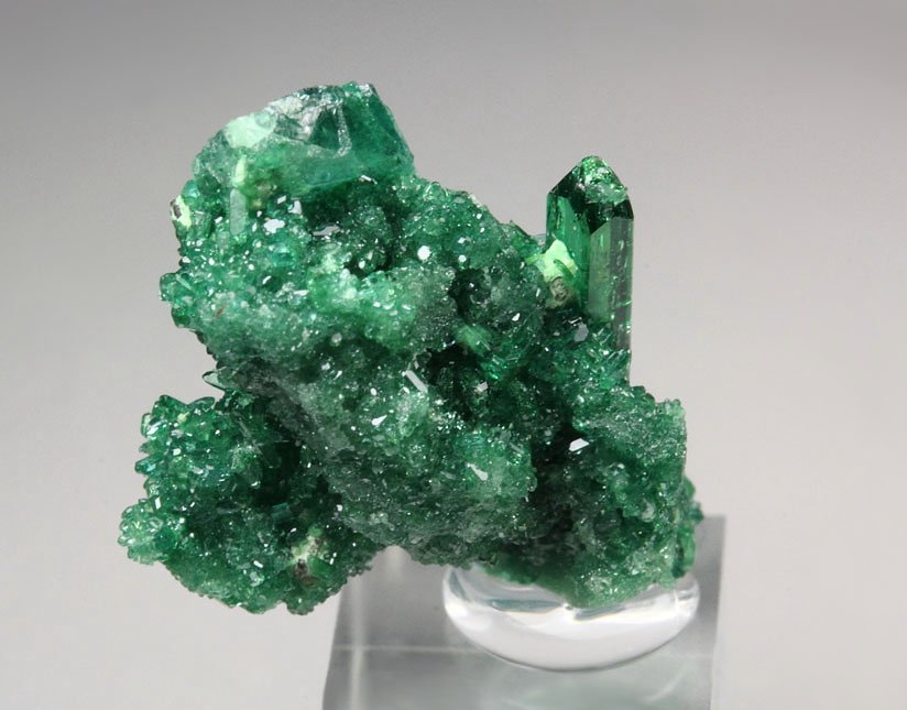 gem VESUVIANITE var. CHROMIAN