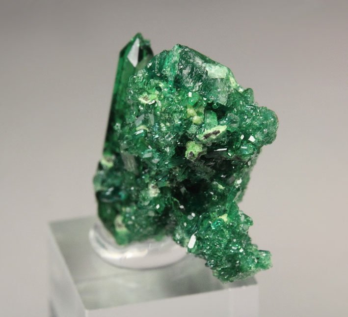 gem VESUVIANITE var. CHROMIAN