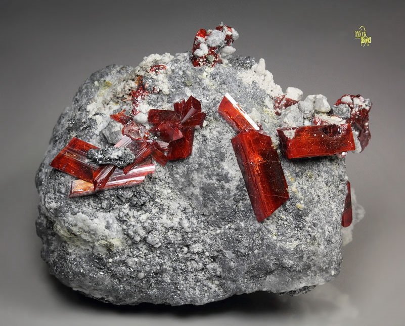 REALGAR