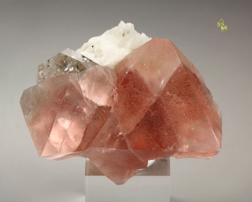 pink FLUORITE, QUARTZ, ALBITE