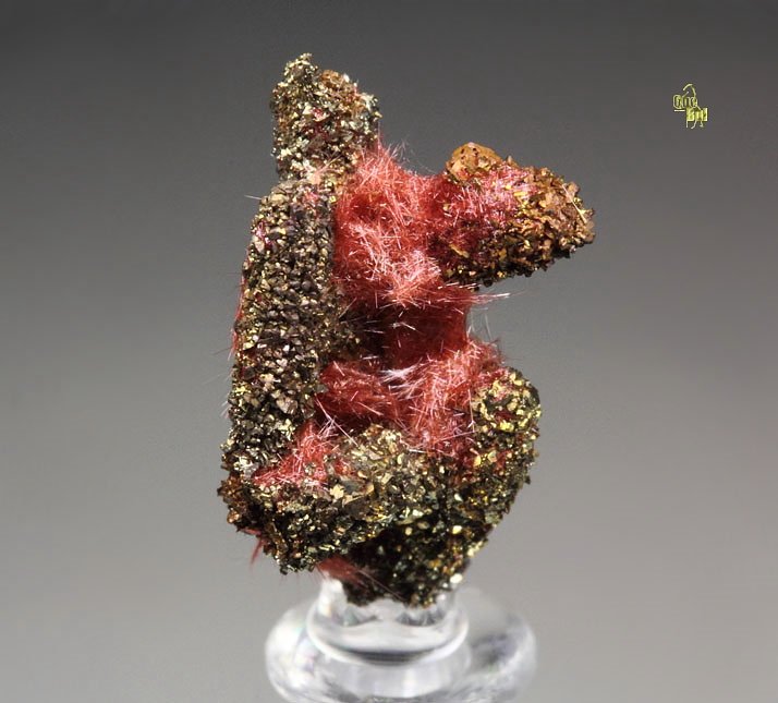 CUPRITE var. CHALCOTRICHITE, CHALCOPYRITE, COPPER