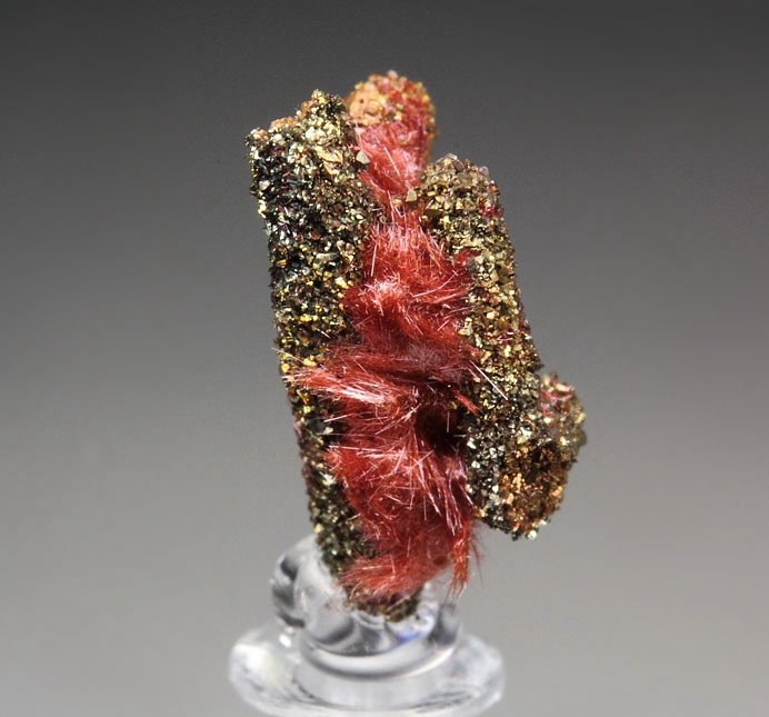 CUPRITE var. CHALCOTRICHITE, CHALCOPYRITE, COPPER