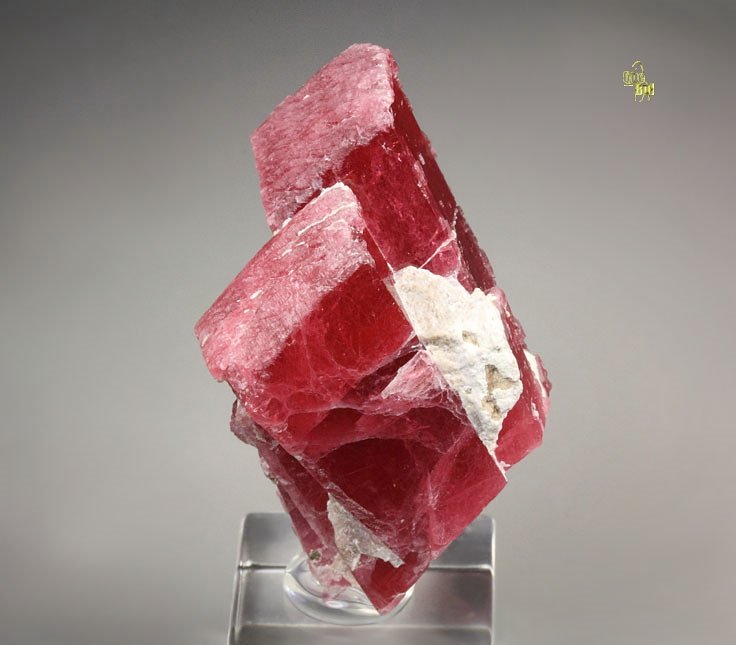 gemmy RHODONITE