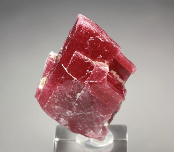 gemmy RHODONITE