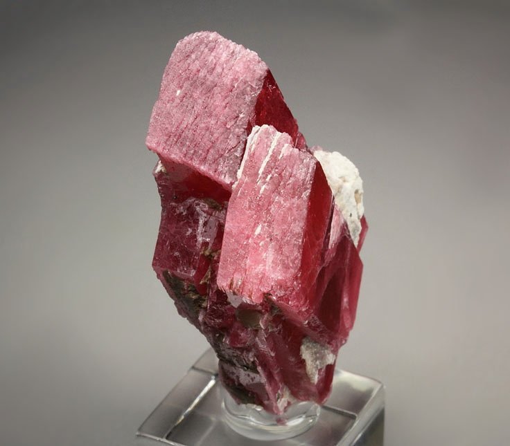 gemmy RHODONITE