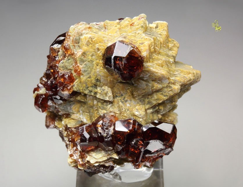 gem GARNET var. SPESSARTINE, MUSCOVITE