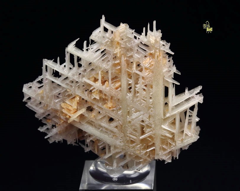 reticulated CERUSSITE