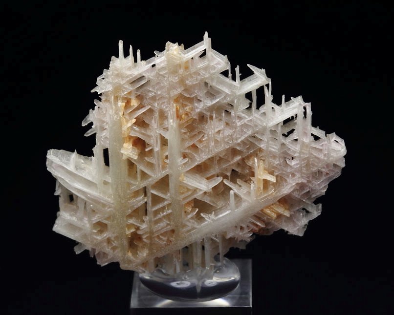 reticulated CERUSSITE