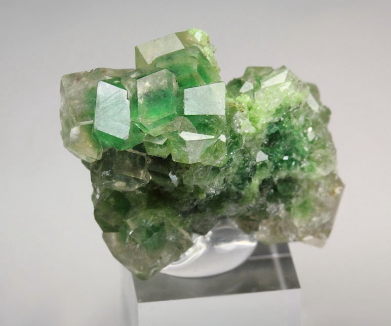 gem GARNET var. GROSSULAR with GREEN CHROMIAN PHANTOMS