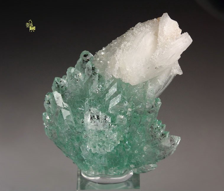 FLUORAPOPHYLLITE-(K), STILBITE