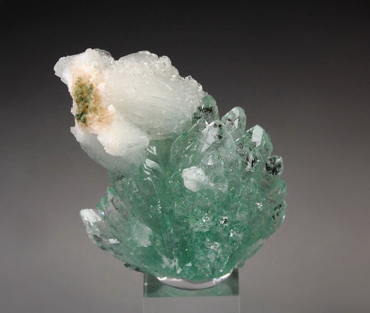 FLUORAPOPHYLLITE-(K), STILBITE