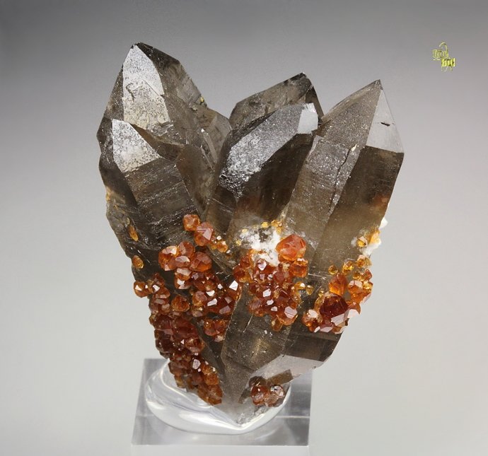 gemmy GARNET var. SPESSARTINE, QUARTZ var. SMOKY