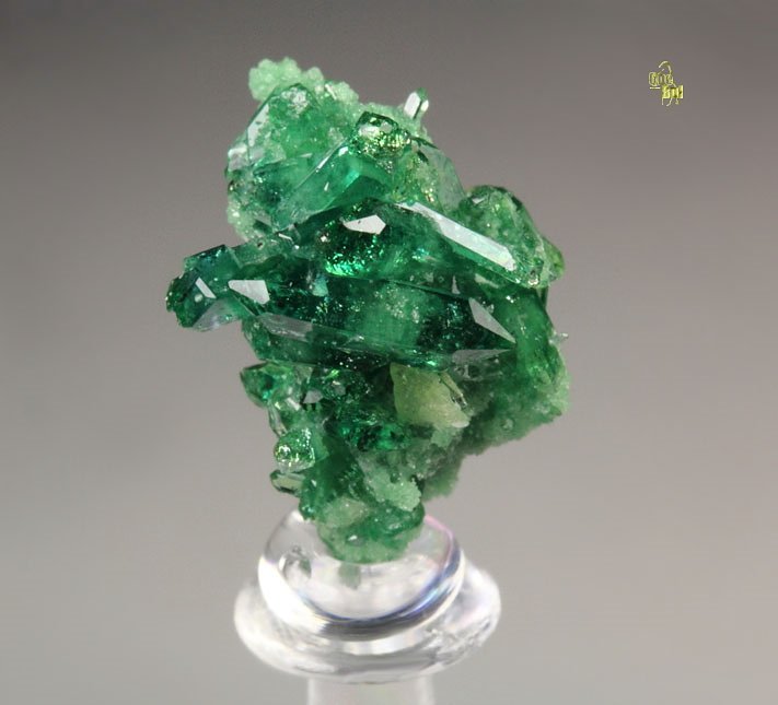 gem VESUVIANITE var. CHROMIAN