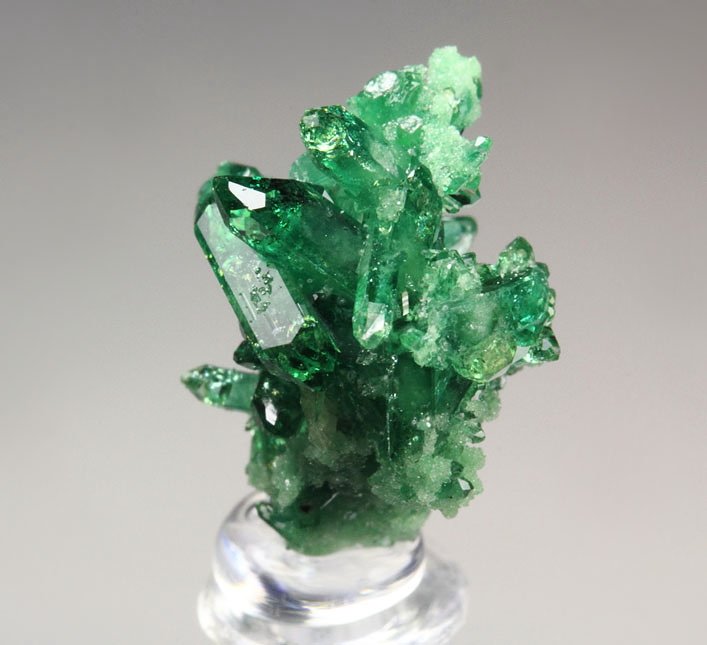 gem VESUVIANITE var. CHROMIAN