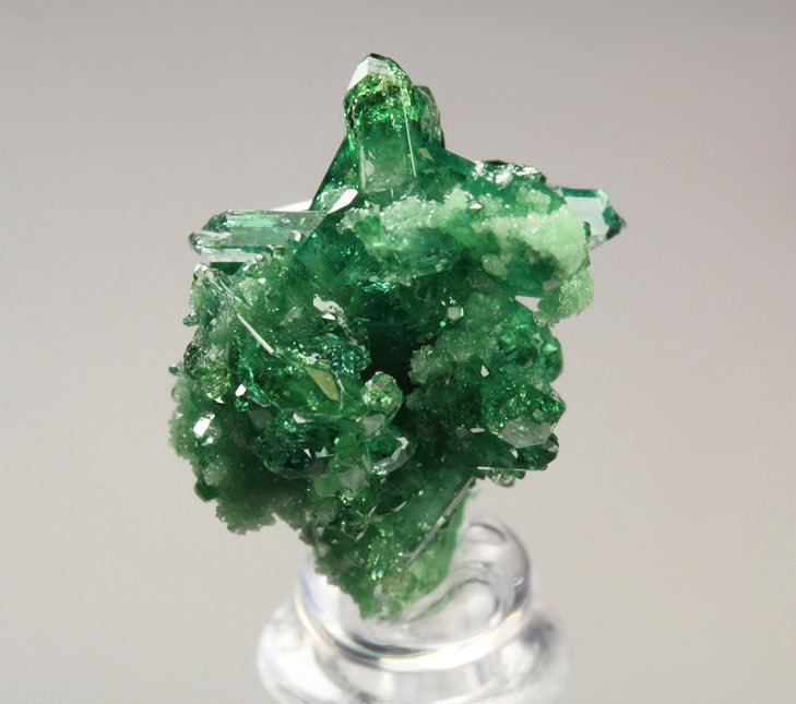 gem VESUVIANITE var. CHROMIAN