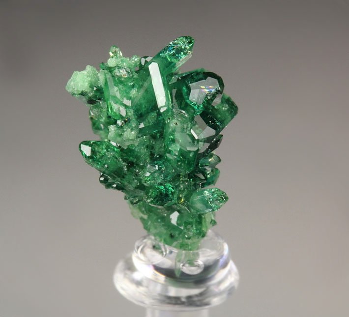 gem VESUVIANITE var. CHROMIAN