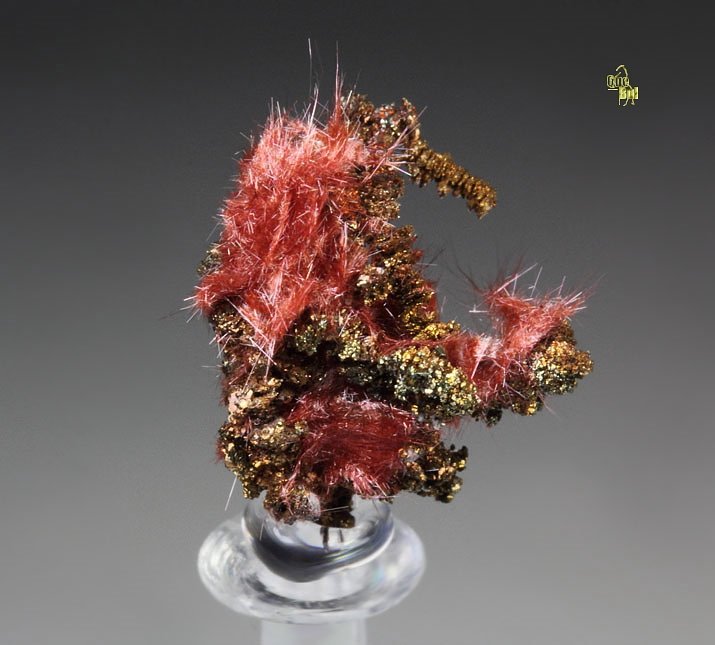 CUPRITE var. CHALCOTRICHITE, CHALCOPYRITE, COPPER