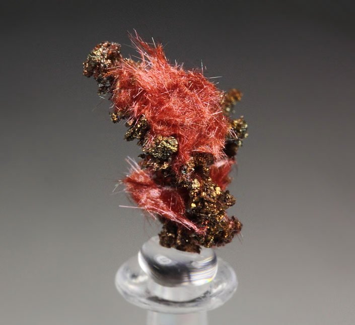 CUPRITE var. CHALCOTRICHITE, CHALCOPYRITE, COPPER