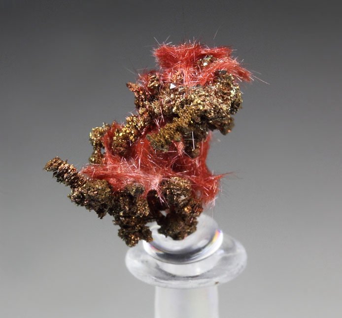 CUPRITE var. CHALCOTRICHITE, CHALCOPYRITE, COPPER