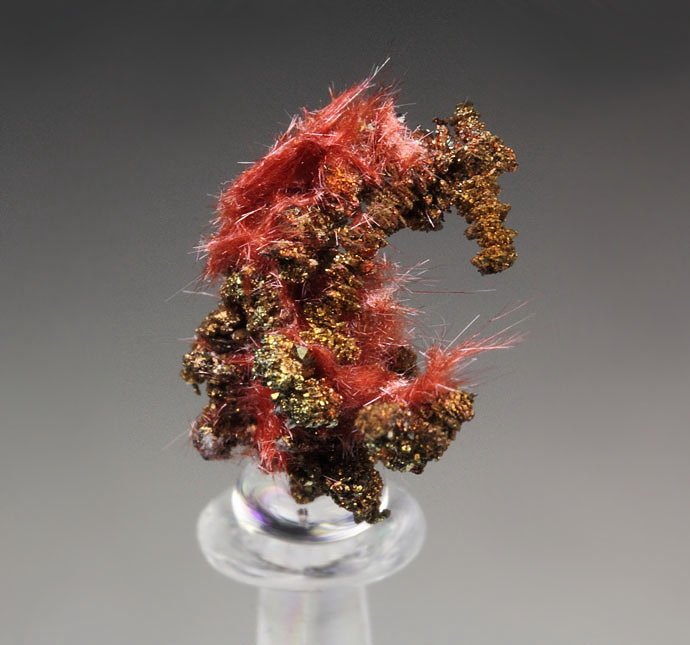 CUPRITE var. CHALCOTRICHITE, CHALCOPYRITE, COPPER