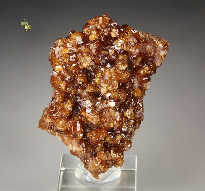 gem GARNET var. HESSONITE, CLINOCHLORE