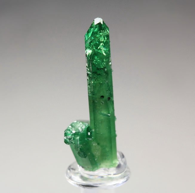 gem VESUVIANITE var. CHROMIAN