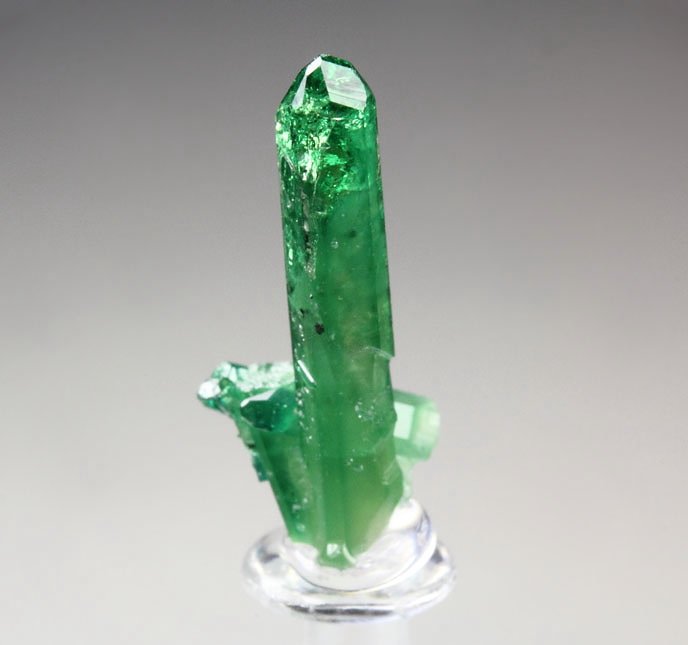 gem VESUVIANITE var. CHROMIAN