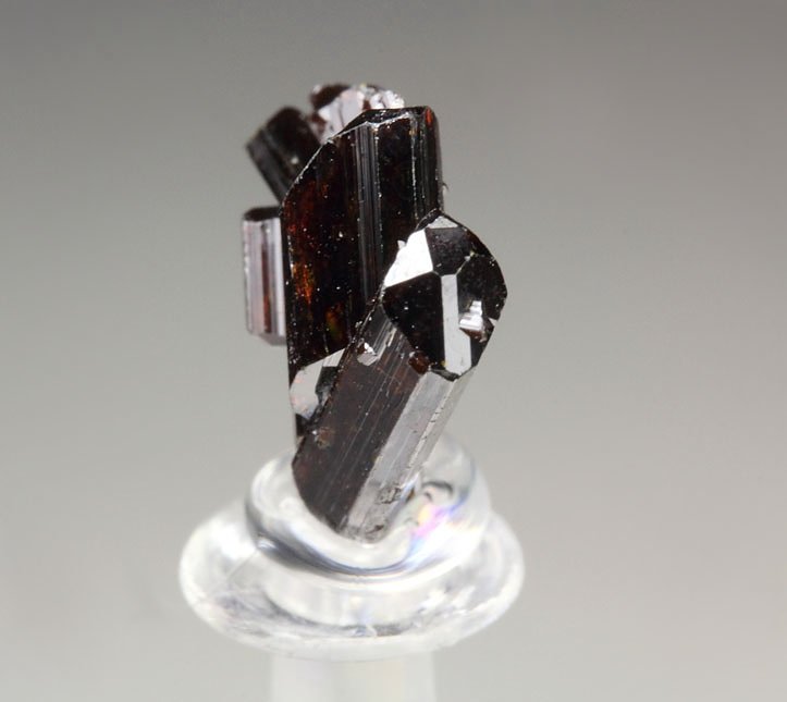 twinned RUTILE