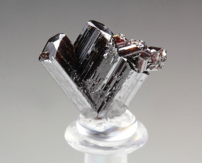 twinned RUTILE