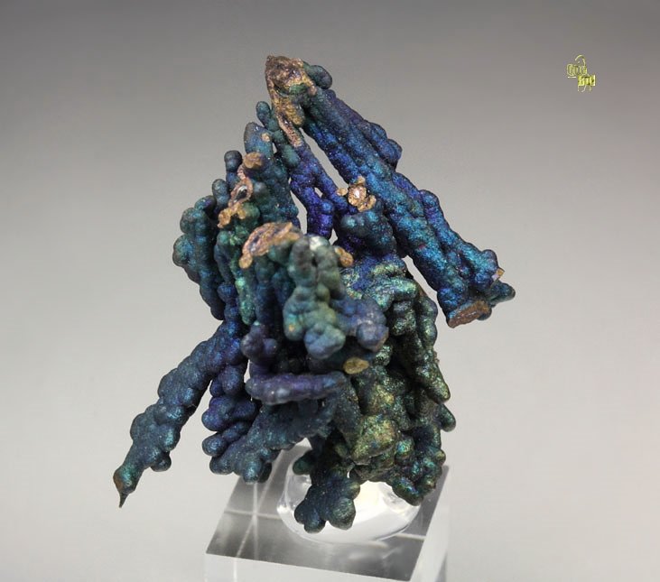 CHALCOCITE, DJURLEITE, iridescent CHALCOPYRITE