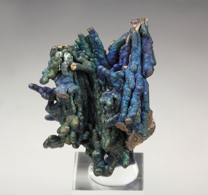 CHALCOCITE, DJURLEITE, iridescent CHALCOPYRITE