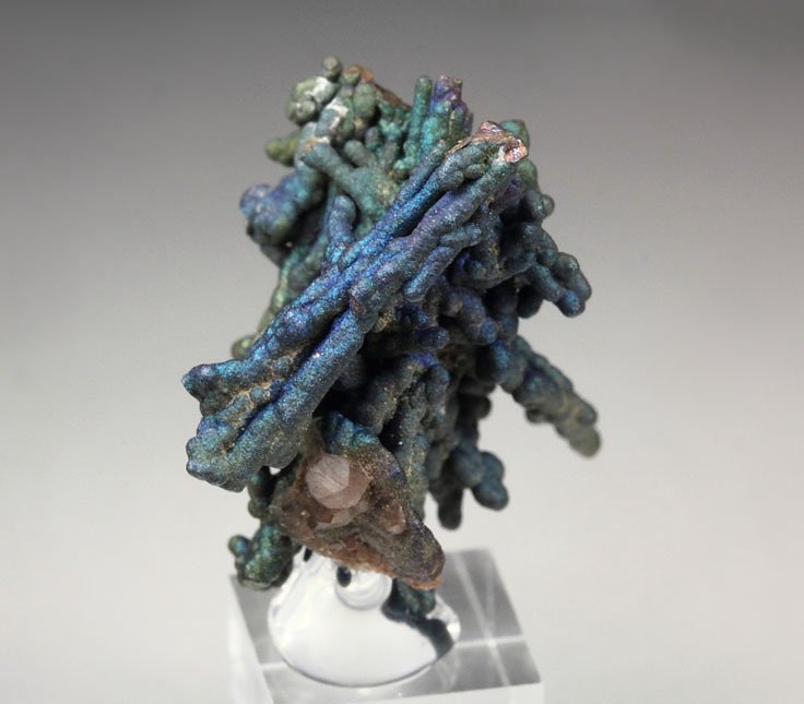 CHALCOCITE, DJURLEITE, iridescent CHALCOPYRITE