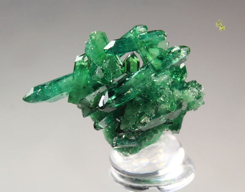 gem VESUVIANITE var. CHROMIAN