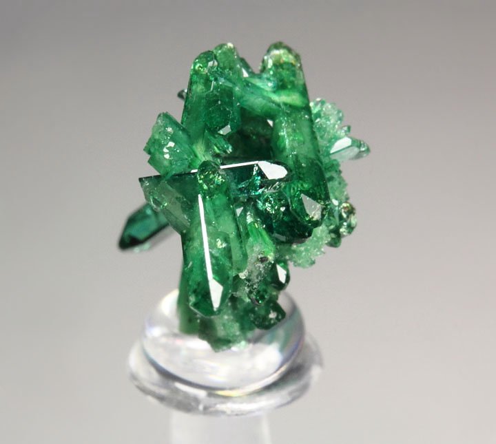 gem VESUVIANITE var. CHROMIAN