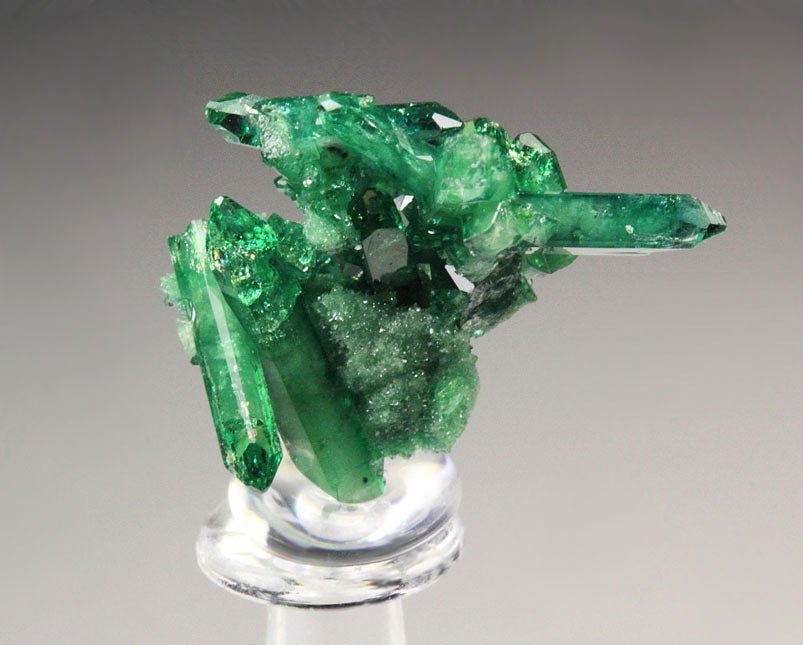 gem VESUVIANITE var. CHROMIAN