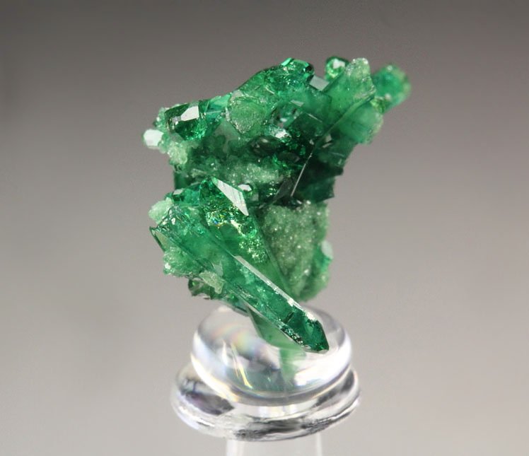 gem VESUVIANITE var. CHROMIAN